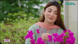 Faaslay - Episode 17